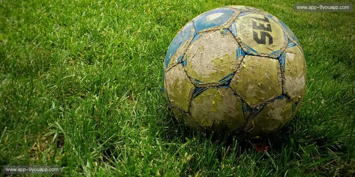 高清直播,细节尽收眼底!📡